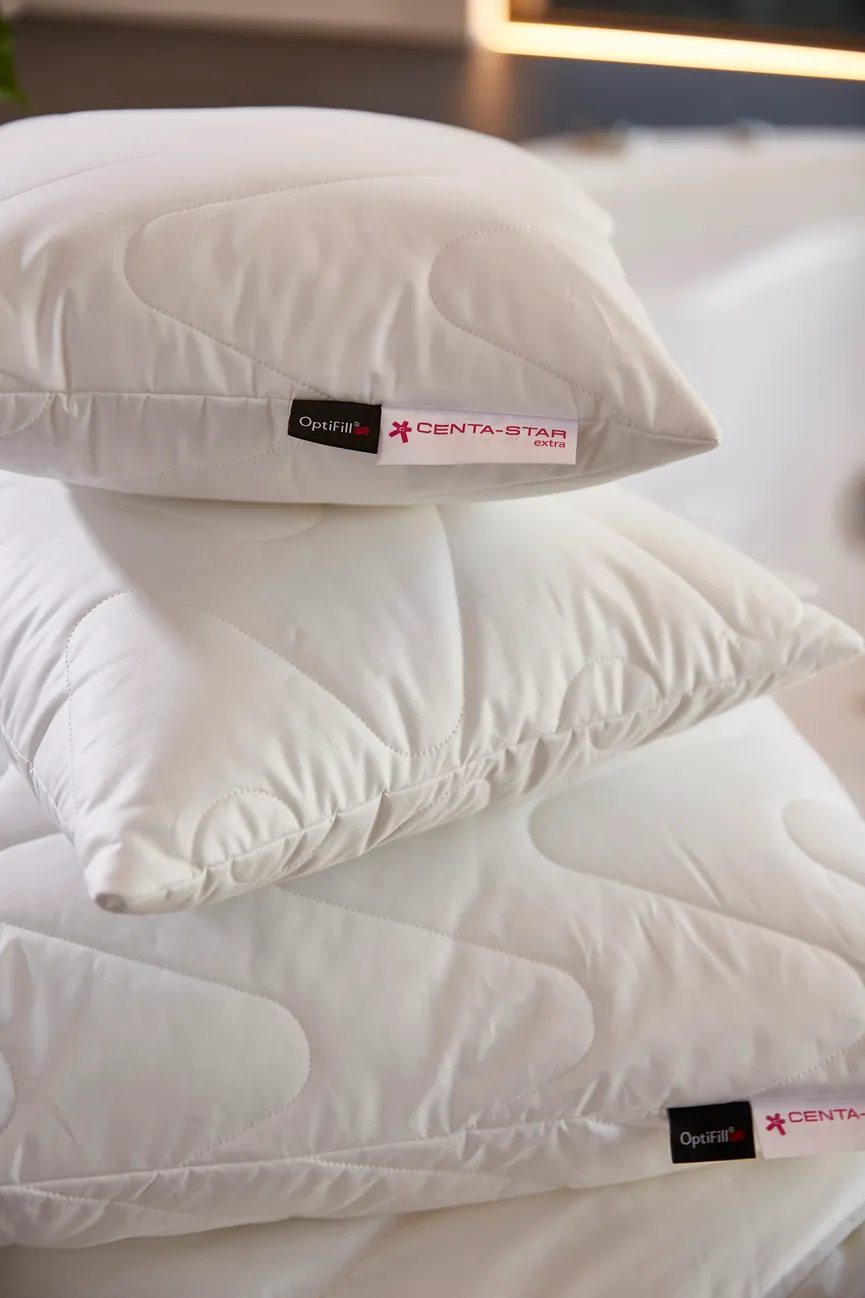 Kopfkissen Clima Soft milieu