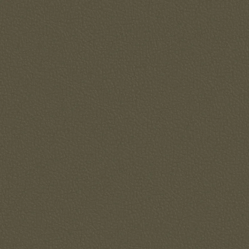 Poga RE V4 material_farbe