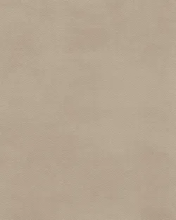Beige material_farbe