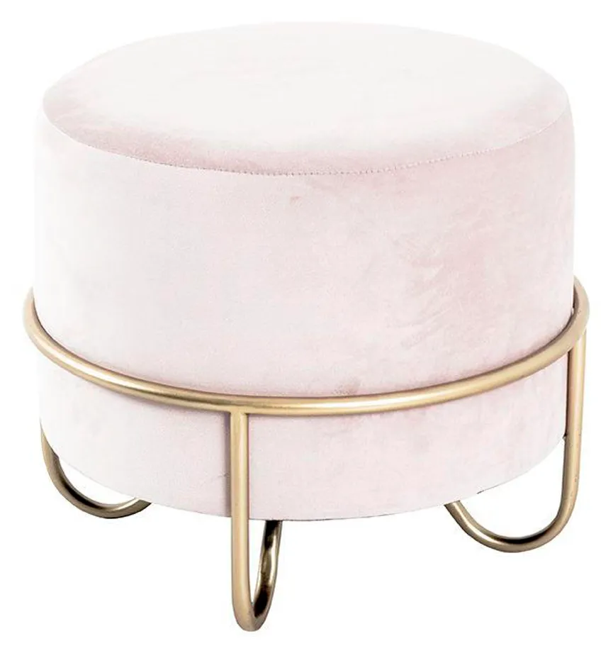 Hocker hauptaufnahme