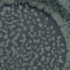 material_farbe