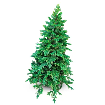 Weihnachtsbaum