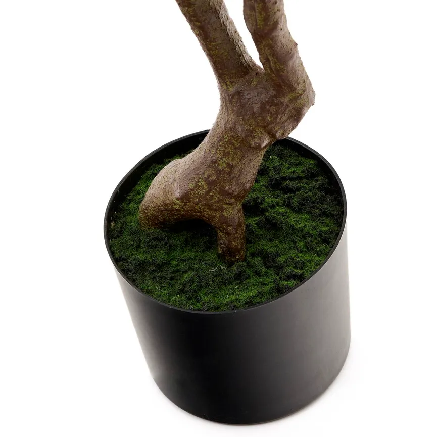 Kunstbaum Pachira detail