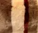 FARBE