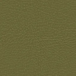 Olive material_farbe