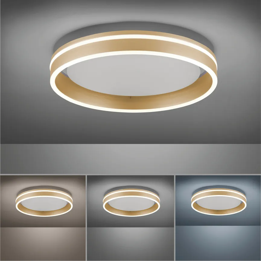 Deckenleuchte "Q-Vito" detail