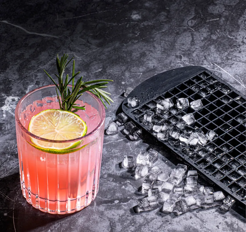 Eiswürfelform "Quinn" Kiesel milieu