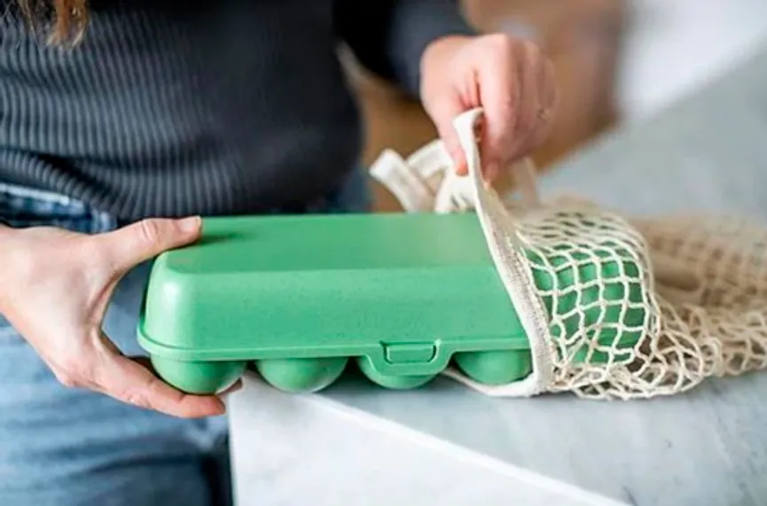 Eierbox M grün milieu