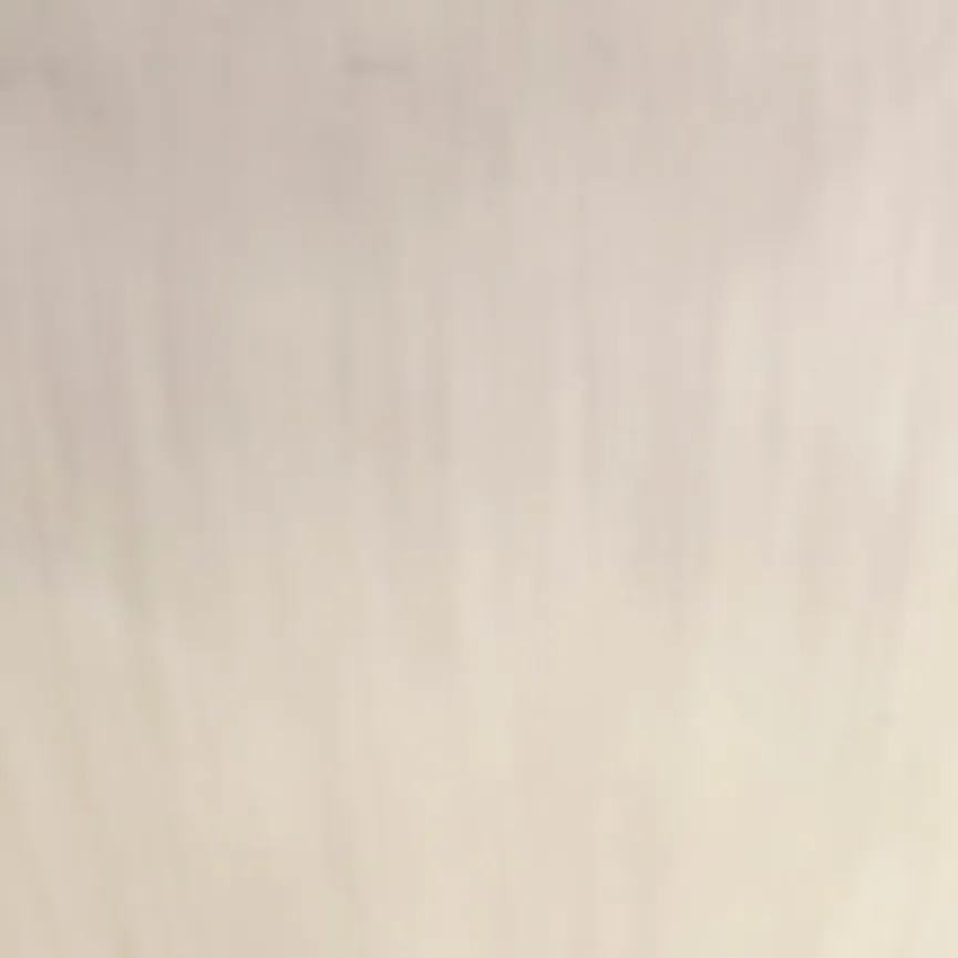 Schale "Perlemor" 1,2 Liter material_farbe