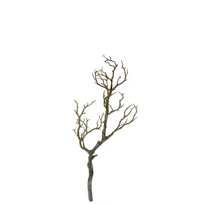 Deko-Zweig