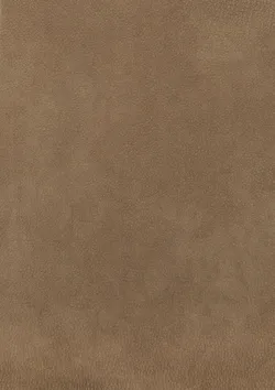 Brown material_farbe
