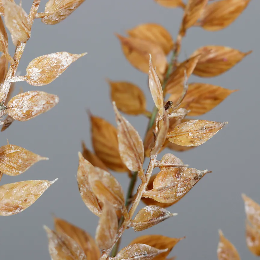 Ruscus Zweig cappucino detail