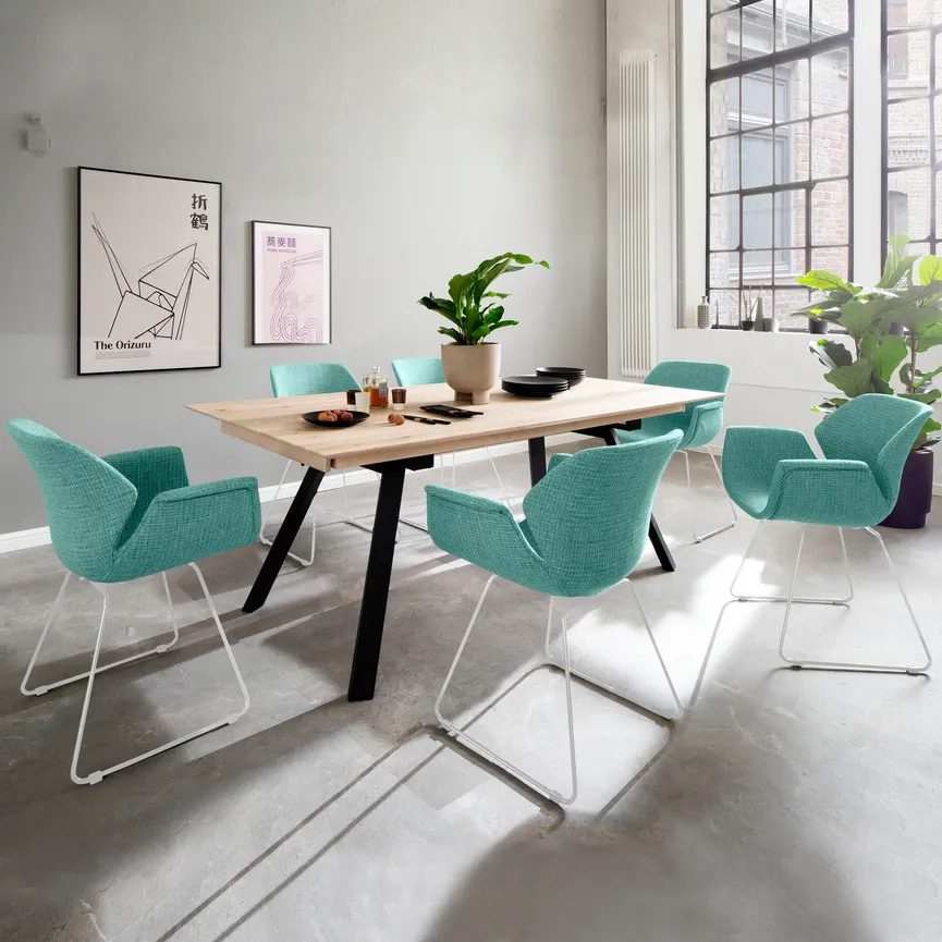 AL-Stuhl Sledge milieu