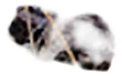 Glasbild 125 x 50 cm