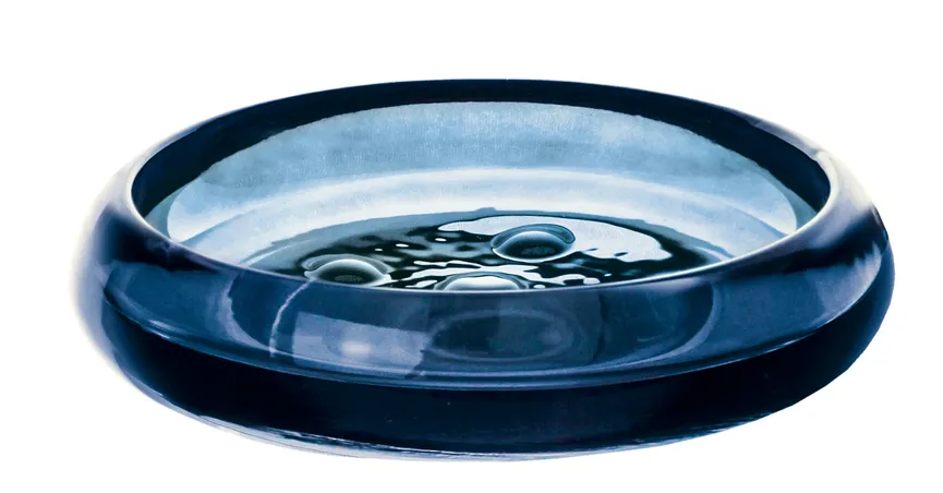 Seifenschale Verro hauptaufnahme