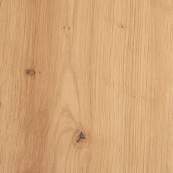 Asteiche material_farbe