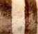FARBE