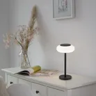 milieu