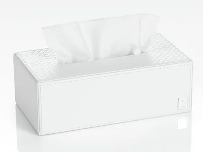 Kosmetikbox