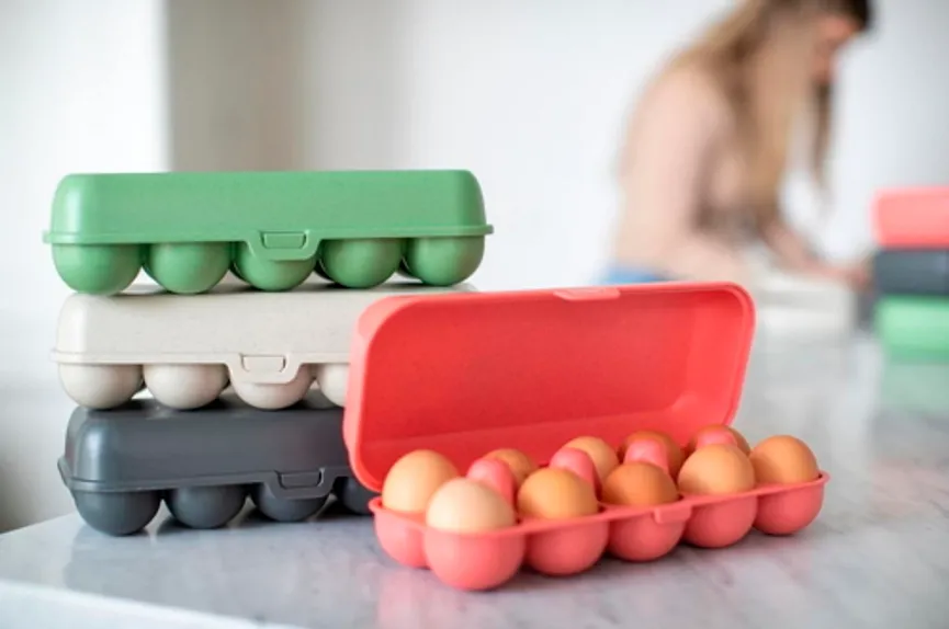 Eierbox M grün milieu