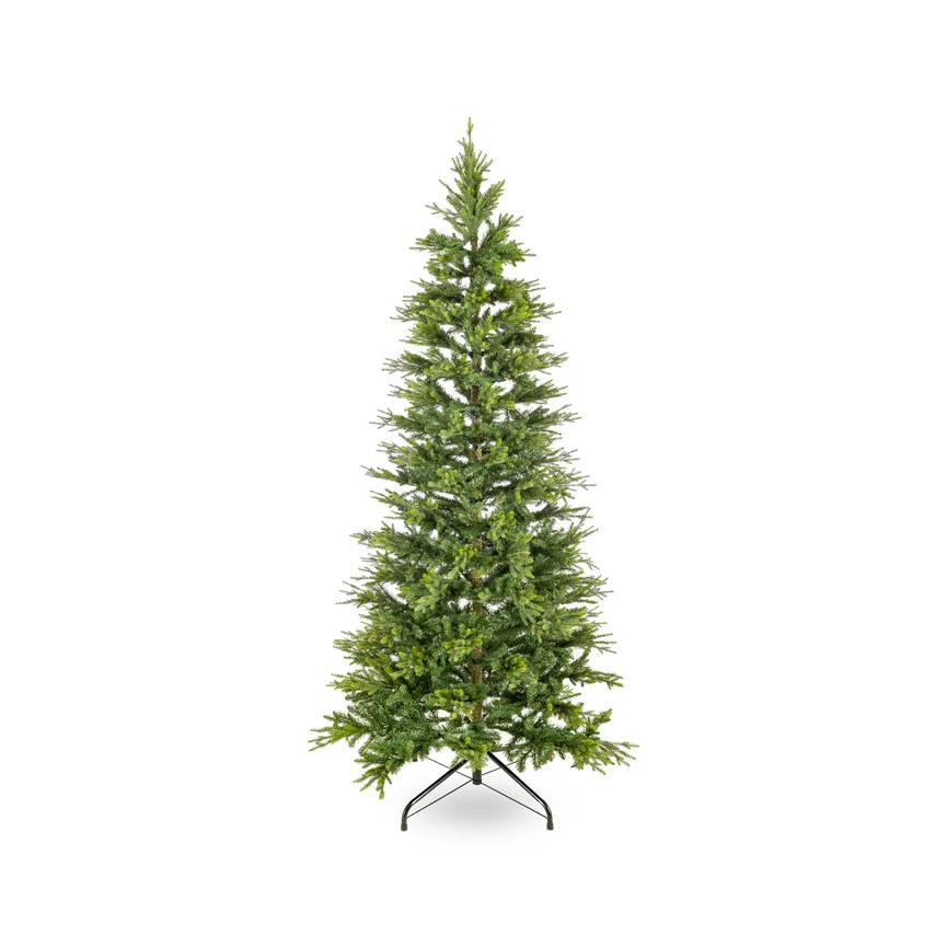 Tannenbaum grün hauptaufnahme
