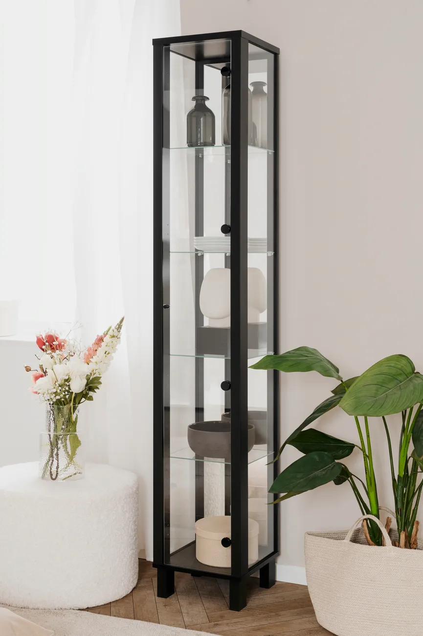Vitrine 1GT milieu