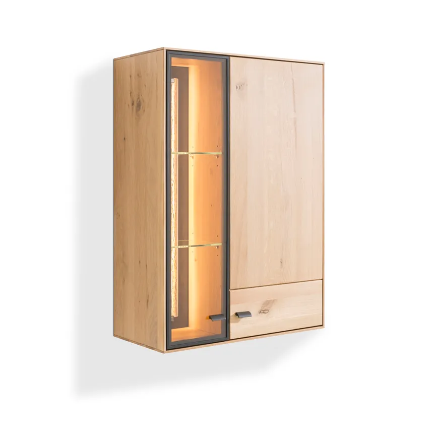 Hängevitrine hauptaufnahme