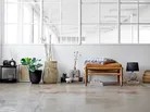 milieu