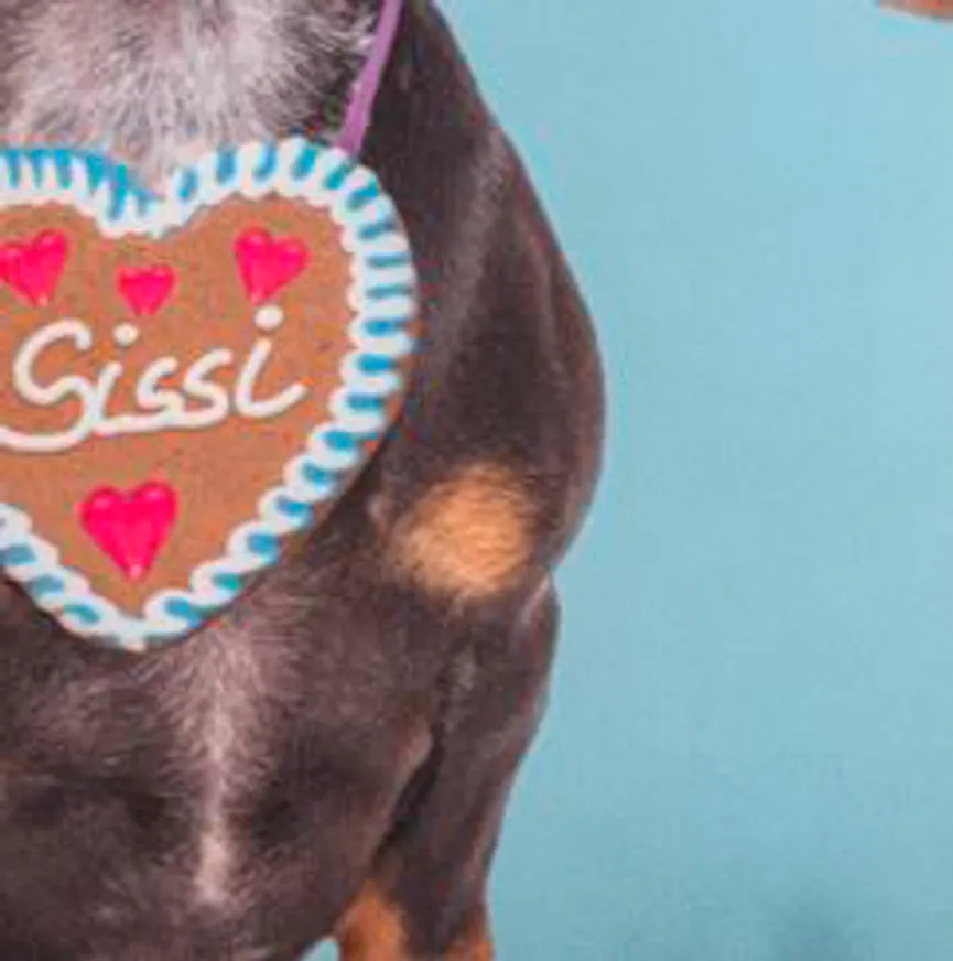 Kissen Sissi+Franz 45x45cm material_farbe