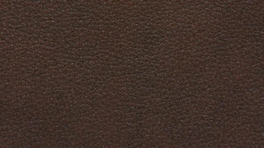 Poga groß Wildeiche material_farbe