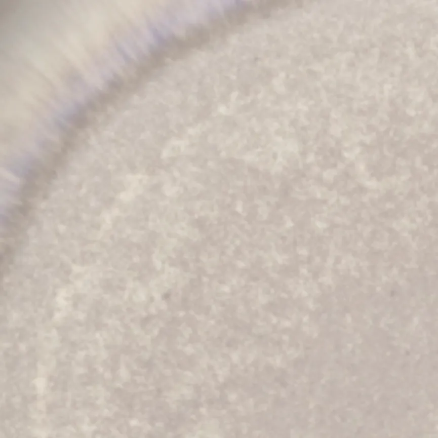 Speiseteller "Perlemor" sand material_farbe