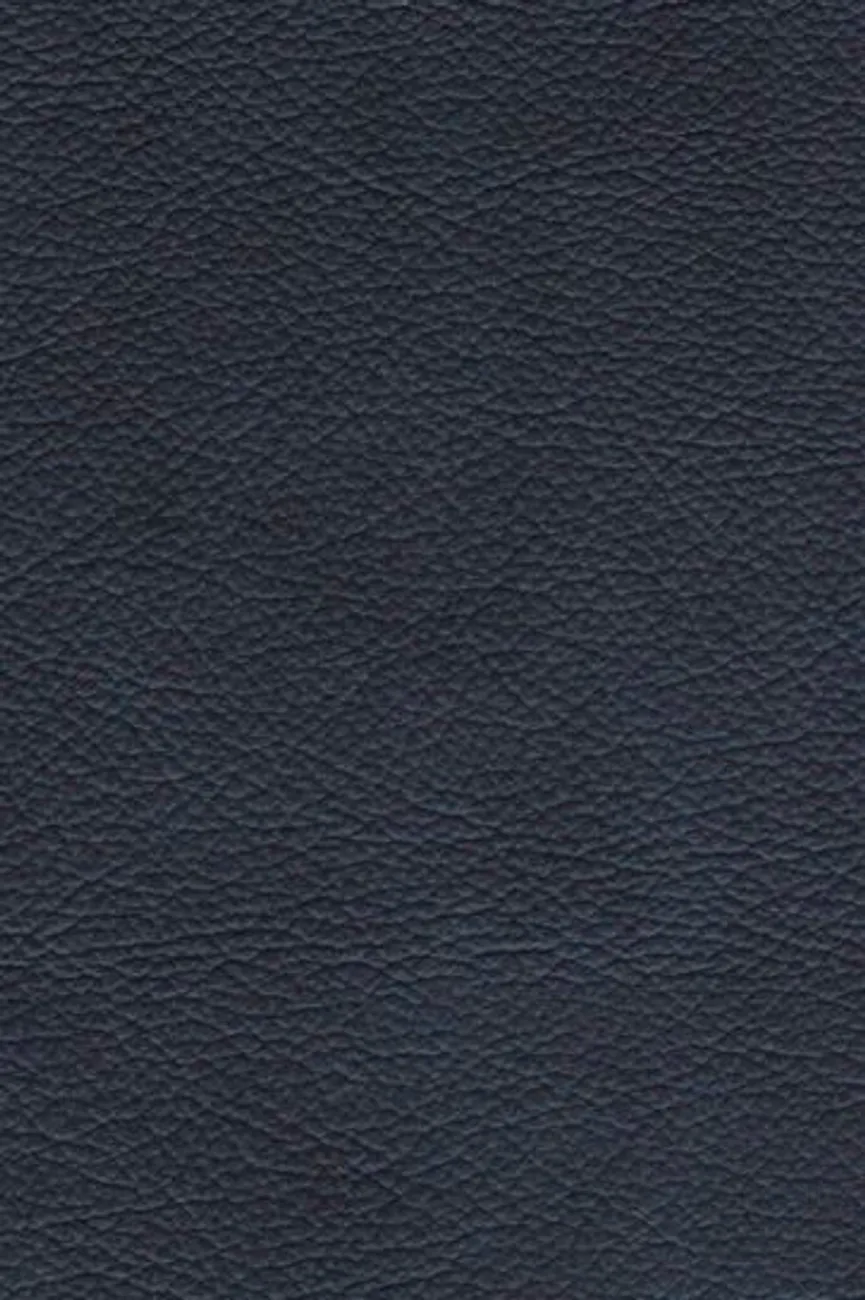 AL-Stuhl Eisen material_farbe
