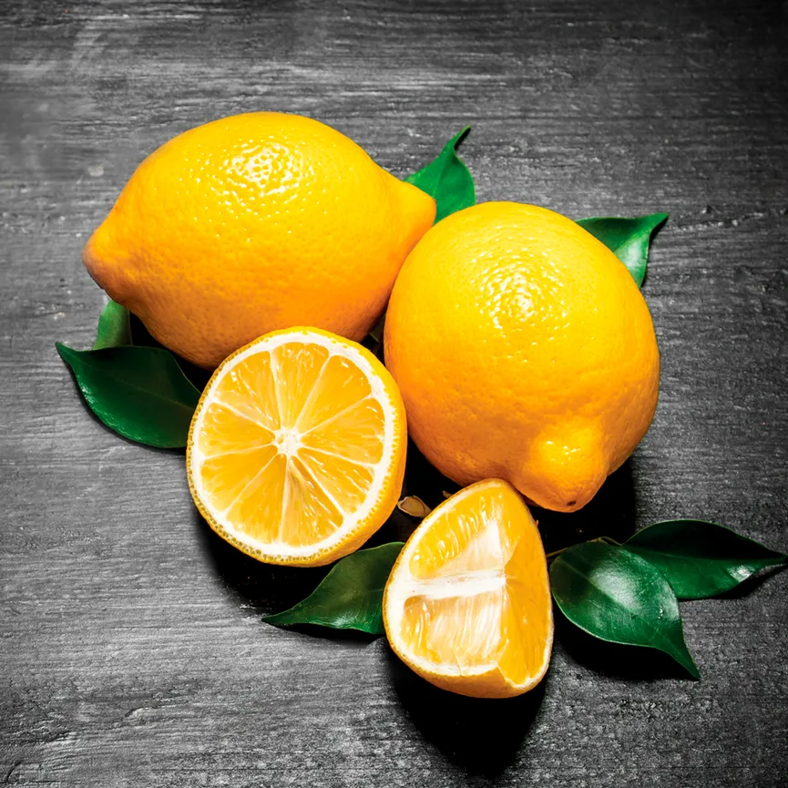 Küche / Früchte - Fresh Lemon hauptaufnahme
