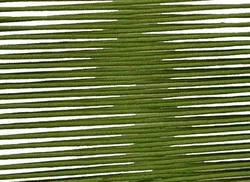 Grün material_farbe