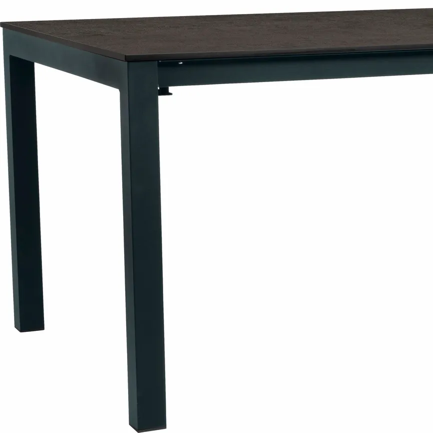 Standard TISCH 200/250x100 detail