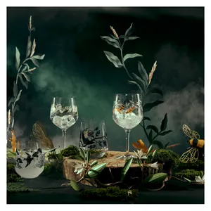 Gläserset - Gin