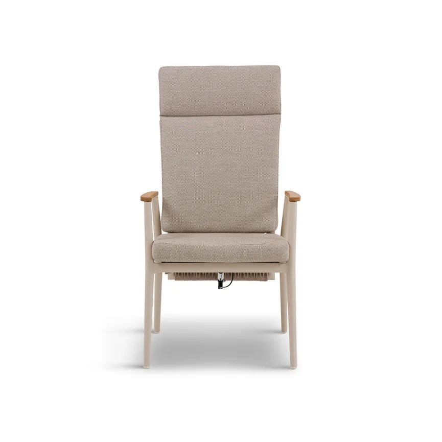 Dining Sessel detail