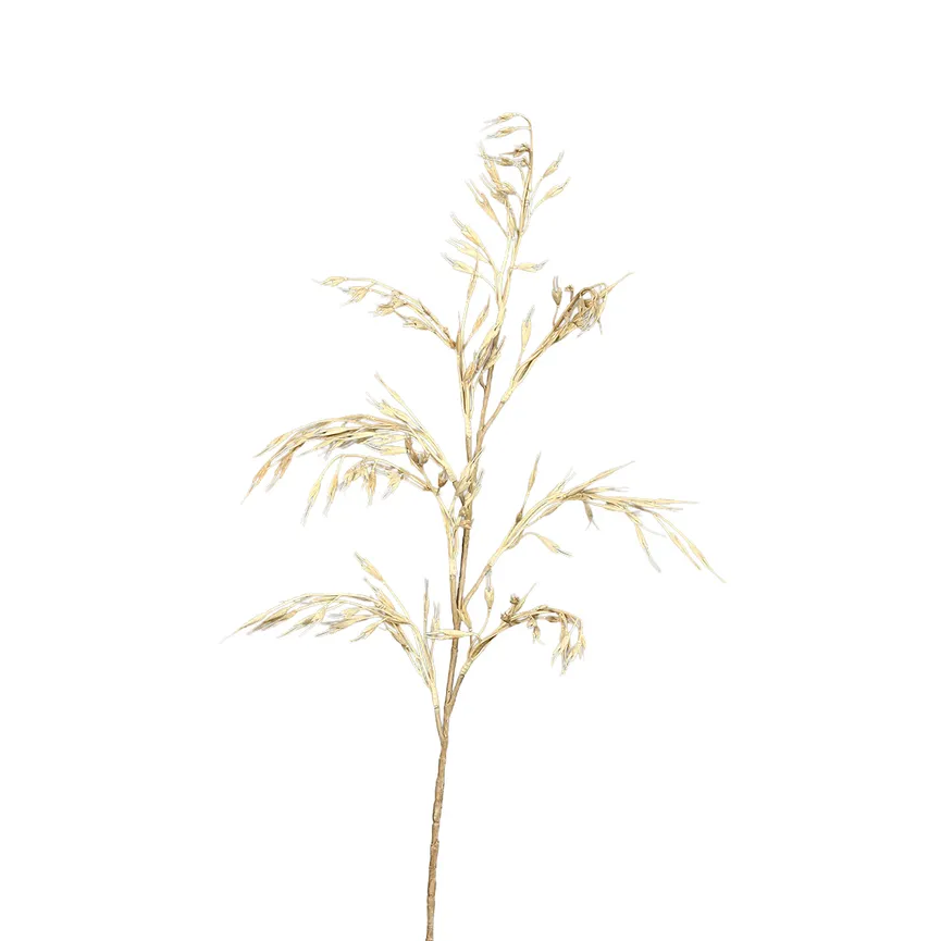 Haferzweig creme hauptaufnahme