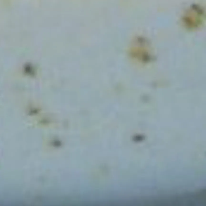 Sojaschale "Nature Collection" material_farbe