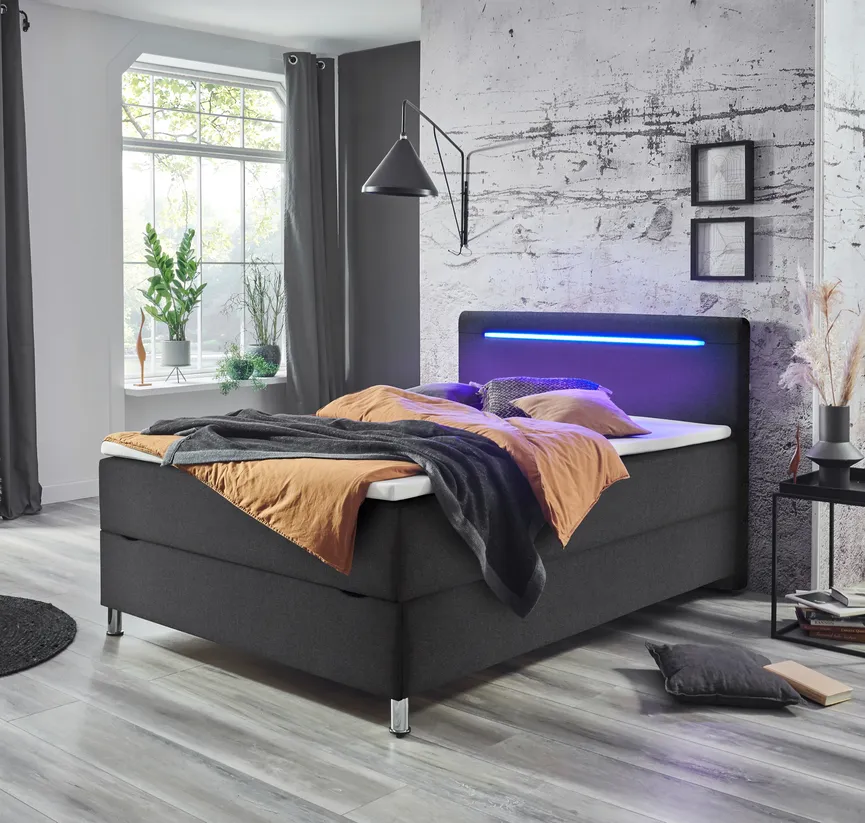 Polsterbett hauptaufnahme