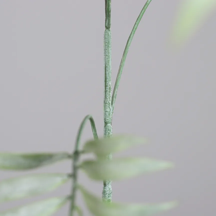 Chico-Zweig detail