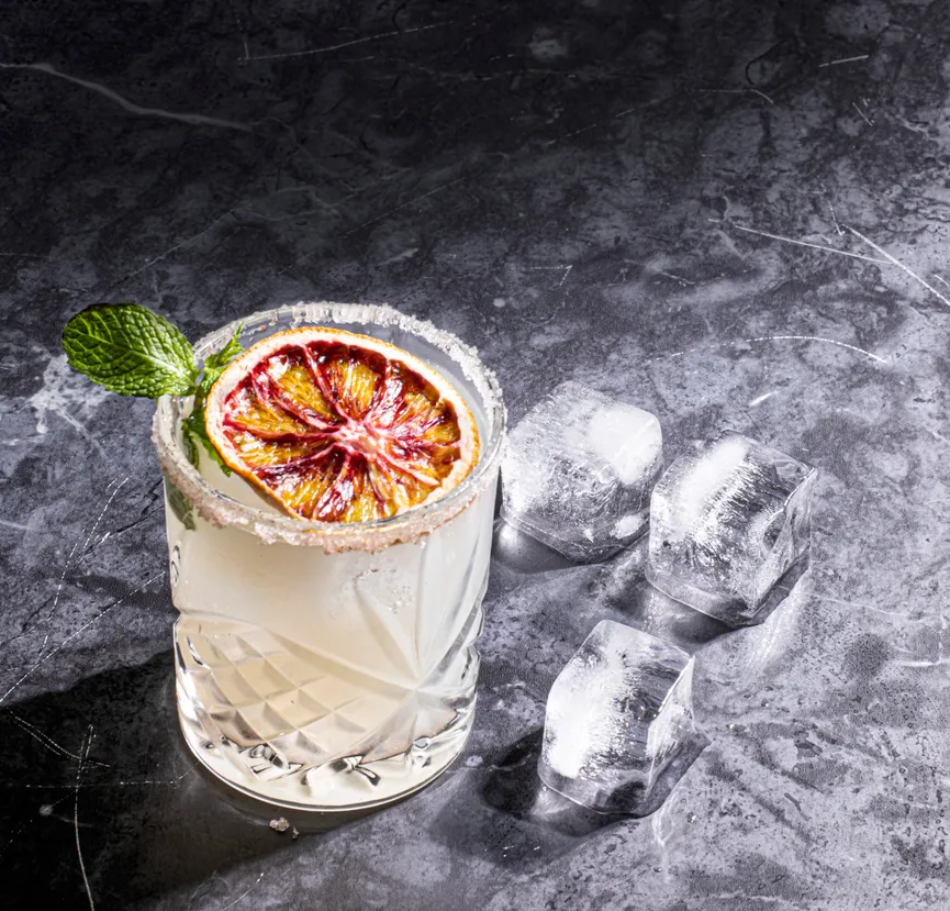 Eiswürfelform "Quinn" Mini milieu