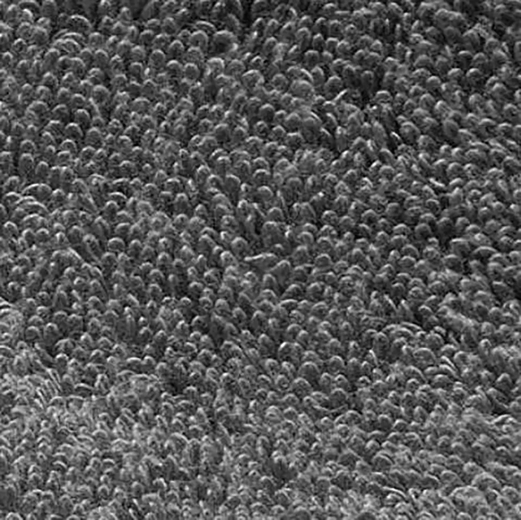 material_farbe