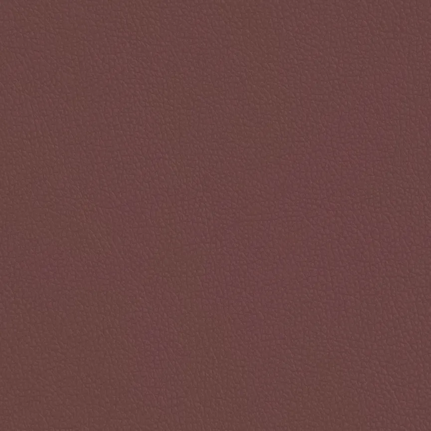 Poga RU V2B material_farbe