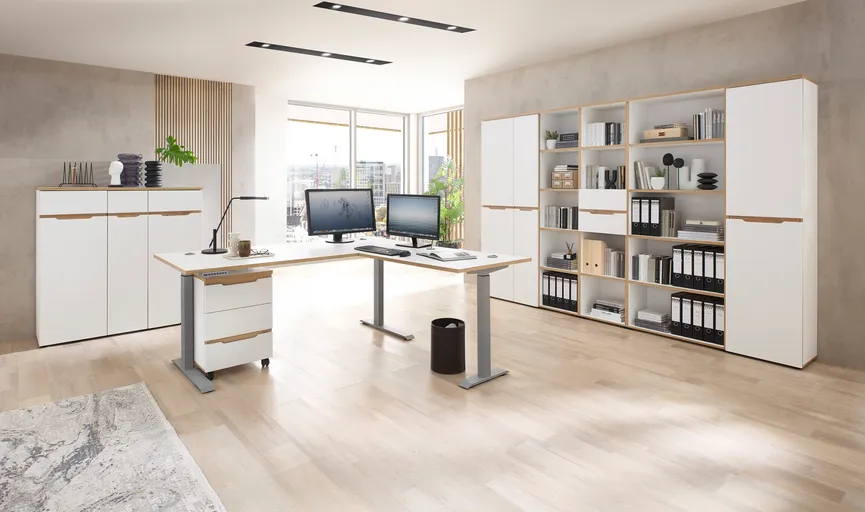 Büroschrank milieu