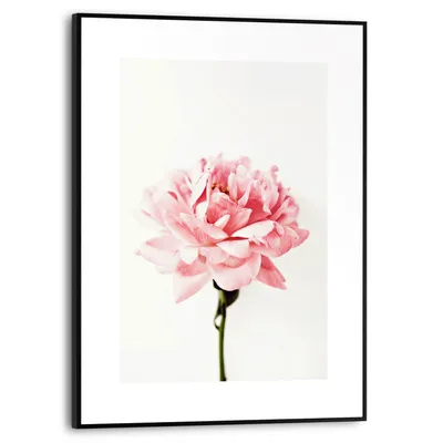 Wandbild 30 x 40 cm