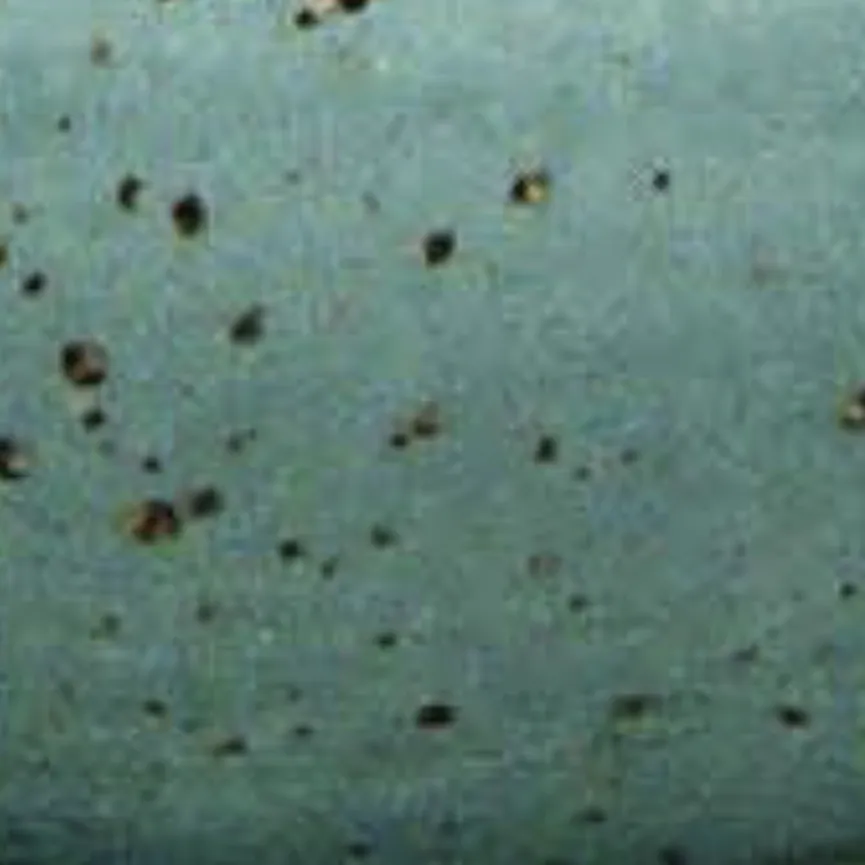 Dipschale "Nature Collection" material_farbe