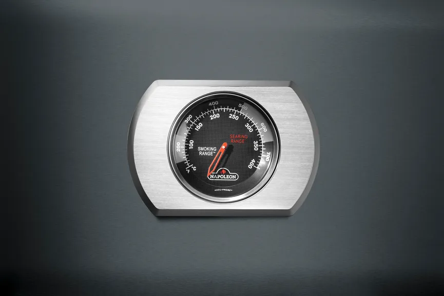 Aktion Rogue PRO425 Charcoal detail