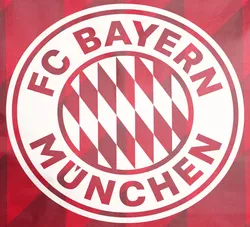 FC Bayern material_farbe