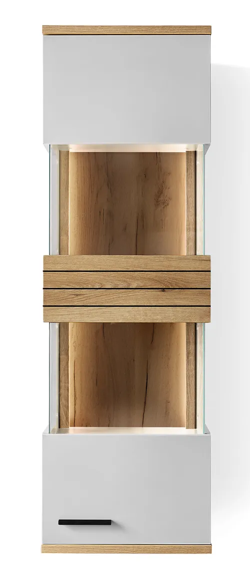 Hängevitrine 